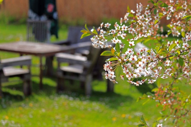 Jak dbać o plastikowe meble ogrodowe?